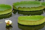 IMG_4491_resize