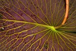 IMG_4492_resize