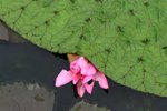IMG_4493_resize