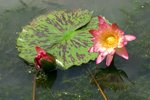 IMG_4508_resize