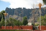 IMG_3439_resize