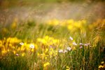 IMG_3918_resize