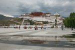 IMG_3950_resize