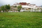 IMG_3966_resize