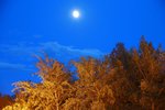IMG_3988_resize