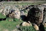 01-17_resize