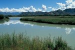 02-08_resize