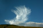 IMG_8032_resize
