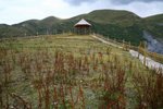 IMG_8178_resize