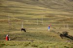 IMG_8495_resize
