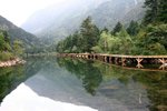 IMG_8698_resize