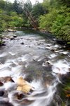 IMG_8701_resize