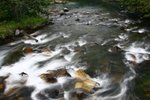 IMG_8702_resize