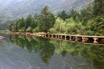IMG_8703_resize