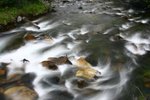 IMG_8705_resize