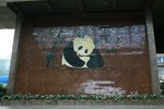 IMG_8926_resize