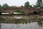 IMG_8949_resize