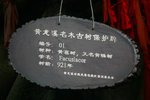IMG_8961_resize