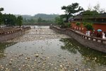 IMG_8978_resize