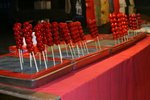 IMG_2313_resize