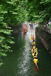 IMG_4549_resize
