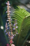 IMG_8050