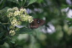 IMG_8144