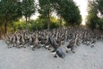IMG_7776_resize