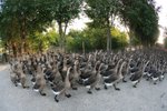 IMG_7781_resize
