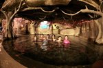 IMG_7814_resize