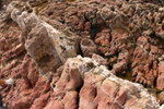 IMG_5656