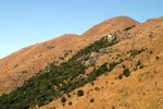IMG_7029_resize