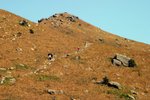 IMG_7036_resize
