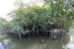 IMG_7555_resize
