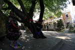 IMG_7633_resize