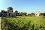 IMG_7694_resize