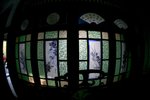 IMG_7727_resize