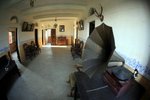 IMG_7733_resize