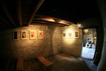 IMG_7767_resize