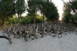 IMG_7775_resize