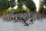 IMG_7776_resize