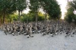 IMG_7777_resize
