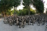 IMG_7783_resize