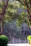IMG_7348_resize