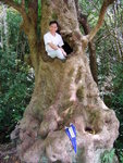 荔吉鴨,