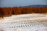 IMG_9698_resize