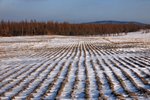 IMG_9701_resize