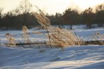 IMG_9704_resize