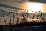 IMG_9709_resize