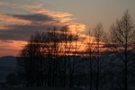 IMG_9721_resize